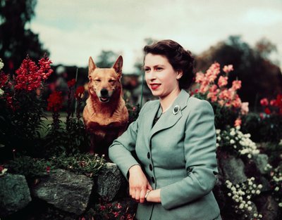 Королева Єлизавета II у замку Балморал, 28 вересня 1952 року Королева Єлизавета II у замку Балморал, 28 вересня 1952 року