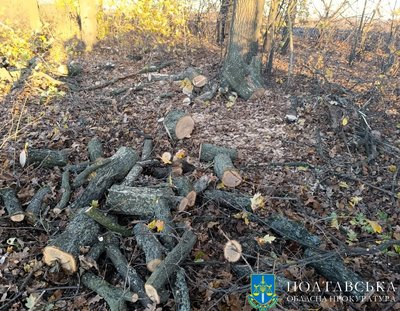 На Полтавщині засудили підприємця, який незаконно вирубував дерева у двох громадах На Полтавщині засудили підприємця, який незаконно вирубував дерева у двох громадах