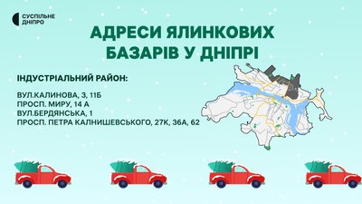 Ялинкові базари: де придбати святкове дерево у Дніпрі Ялинкові базари: де придбати святкове дерево у Дніпрі