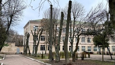 Без гілок, з пошкодженою корою: на території кропивницького ліцею "Сокіл" обрізали липи Без гілок, з пошкодженою корою: на території кропивницького ліцею "Сокіл" обрізали липи