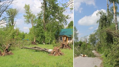 Смерчі і суховії на Житомирщині: пояснення синоптикині Смерчі і суховії на Житомирщині: пояснення синоптикині