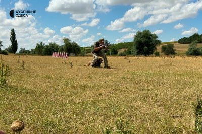 "Вона знає запах зброї": історія кінолога з Одещини та його чотирилапої напарниці "Вона знає запах зброї": історія кінолога з Одещини та його чотирилапої напарниці