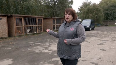 "Коли господар їде на фронт, пес Батон стресує": як в КП "Ласка" у Луцьку доглядають тварин "Коли господар їде на фронт, пес Батон стресує": як в КП "Ласка" у Луцьку доглядають тварин