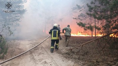 Пожежа на Київщині: горить лісова підстилка Пожежа на Київщині: горить лісова підстилка