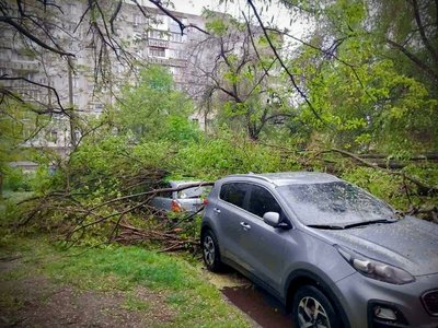В Одесі через негоду повалились дерева та великі гілки В Одесі через негоду повалились дерева та великі гілки