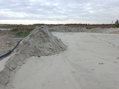 На Житомирщині керівника агропідприємства підозрюють у незаконному видобутку піску На Житомирщині керівника агропідприємства підозрюють у незаконному видобутку піску