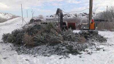 Зібрані дерева подрібнюють на тирсу за допомогою дробильної машини, січень 2026 року, Хмельницький Зібрані дерева подрібнюють на тирсу за допомогою дробильної машини, січень 2026 року, Хмельницький