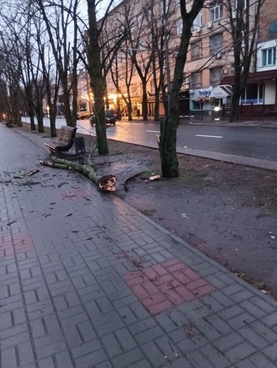 Два повністю перекрили рух: у Черкасах від сильного вітру впали кілька дерев Два повністю перекрили рух: у Черкасах від сильного вітру впали кілька дерев