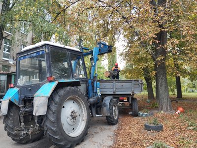 У Полтаві, аби уникнути нещасних випадків, пришвидшили спилювання аварійних дерев У Полтаві, аби уникнути нещасних випадків, пришвидшили спилювання аварійних дерев