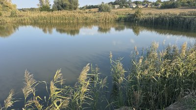 Підприємства, які вирощують прісноводну рибу, можуть отримати компенсацію від держави: які умови й терміни виплат Підприємства, які вирощують прісноводну рибу, можуть отримати компенсацію від держави: які умови й терміни виплат