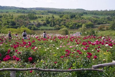 Чотири роки повномасштабної війни на Черкащині у світлинах Суспільного