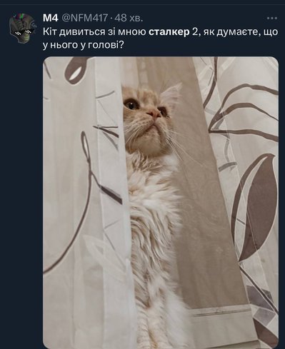 як жартують про сталкер