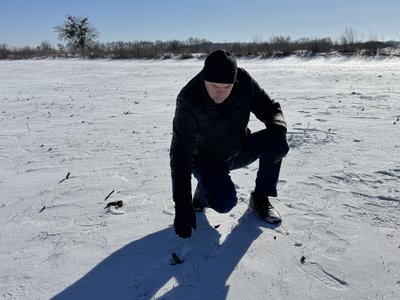 "Пшениця під льодом": як погодні умови впливають на посіви озимих культур на Полтавщині