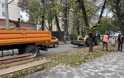 Сезон опалого листя: як його прибирають у Хмельницькому, куди вивозять та за що штрафують Сезон опалого листя: як його прибирають у Хмельницькому, куди вивозять та за що штрафують