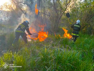 На Вінниччині за добу сталося десять пожеж На Вінниччині за добу сталося десять пожеж