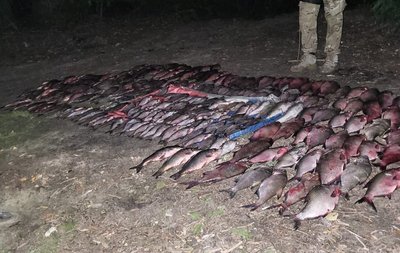 На Черкащині двох підлітків підозрюють у незаконному вилові риби на понад мільйон гривень На Черкащині двох підлітків підозрюють у незаконному вилові риби на понад мільйон гривень