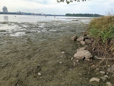 У річці Дніпро вода відійшла від берега на кілька метрів. З чим пов`язують обміління У річці Дніпро вода відійшла від берега на кілька метрів. З чим пов`язують обміління