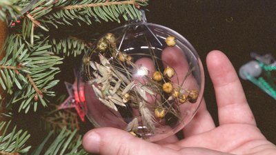 Чернівчанка Валерія Ясницька збирає новорічні прикраси Чернівчанка Валерія Ясницька збирає новорічні прикраси
