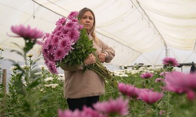 "Цей запах передає атмосферу свята й осені": родина з Черкащини вирощує хризантеми "Цей запах передає атмосферу свята й осені": родина з Черкащини вирощує хризантеми