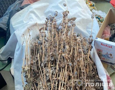 "Зберігали та вирощували нарковмісні рослини": у Новомосковському районі поліцейські викрили двох чоловіків "Зберігали та вирощували нарковмісні рослини": у Новомосковському районі поліцейські викрили двох чоловіків