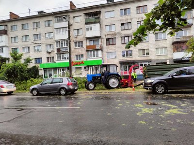 В центрі Житомира через негоду вирвало з корінням дерево, якому було понад пів сотні років В центрі Житомира через негоду вирвало з корінням дерево, якому було понад пів сотні років