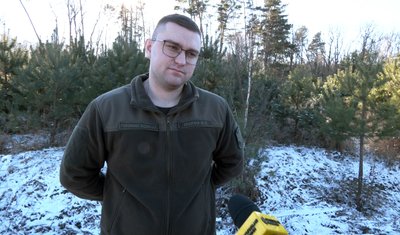 Частіше купують у горщиках: які новорічні дерева обирають волиняни Частіше купують у горщиках: які новорічні дерева обирають волиняни