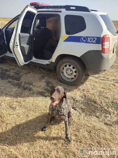 У Новомосковському районі поліцейський знайшов пса, якого власники розшукували три доби