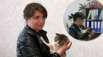 На Черкащині у міській раді "працює" кіт Мурчик На Черкащині у міській раді "працює" кіт Мурчик