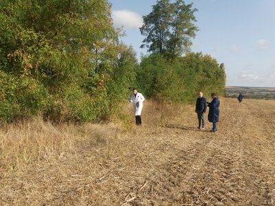 На Кіровоградщині вручну розкладають приманки від сказу для диких тварин На Кіровоградщині вручну розкладають приманки від сказу для диких тварин
