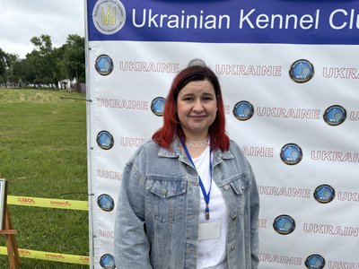 виставка собак олексадріяя виставка собак олексадріяя