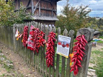 В Ужгороді презентували нематеріальну культурну спадщину Закарпаття В Ужгороді презентували нематеріальну культурну спадщину Закарпаття