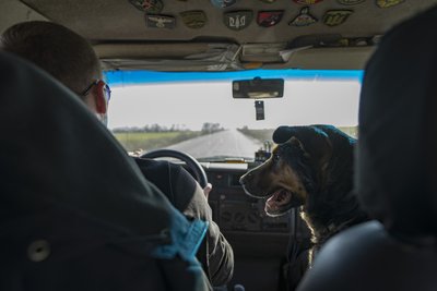 Атака БпЛА, обстріли Нікопольщини, історія ветерана ЗСУ, погода. Головні новини Дніпра та області 18 березня Атака БпЛА, обстріли Нікопольщини, історія ветерана ЗСУ, погода. Головні новини Дніпра та області 18 березня