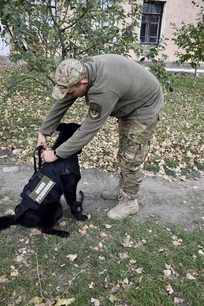 Пошукові собаки прикордонників з Одещини отримали бронежилети