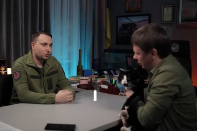 Дослідження: коти мають близько 300 різних виразів обличчя. Перевіряємо на фото кота Буданова, Апельмона та кота Степані Дослідження: коти мають близько 300 різних виразів обличчя. Перевіряємо на фото кота Буданова, Апельмона та кота Степані