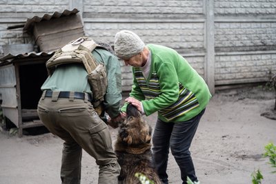 Евакуація собаки з Вовчанська Евакуація собаки з Вовчанська
