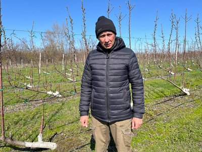 Погодні гойдалки: як фермери Черкащини рятують насадження від весняних морозів Погодні гойдалки: як фермери Черкащини рятують насадження від весняних морозів