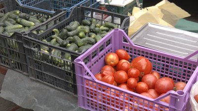 Сезон огірків: які ціни на вінницьких ринках Сезон огірків: які ціни на вінницьких ринках