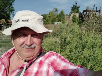 Амброзія у Житомирі: чому вона небезпечна і як із нею боротися Амброзія у Житомирі: чому вона небезпечна і як із нею боротися