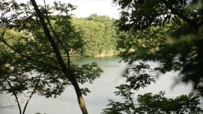На Черкащині є село, відоме на весь світ: куди поїхати на Канівщині На Черкащині є село, відоме на весь світ: куди поїхати на Канівщині