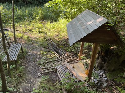 Лісове джерело, вода, криниця, Калуський район, Прикарпаття Лісове джерело, вода, криниця, Калуський район, Прикарпаття