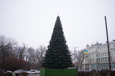 новорічна ялинка чернівці новорічна ялинка чернівці