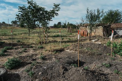 Розміновані городи у Граковому Розміновані городи у Граковому