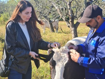 Державна дотація на корів, кіз і овець: умови виплат за тварин на Житомирщині Державна дотація на корів, кіз і овець: умови виплат за тварин на Житомирщині