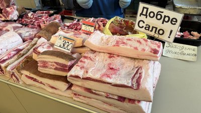 На Кіровоградщині знизились ціни на свиней живою вагою: які причини й наслідки На Кіровоградщині знизились ціни на свиней живою вагою: які причини й наслідки