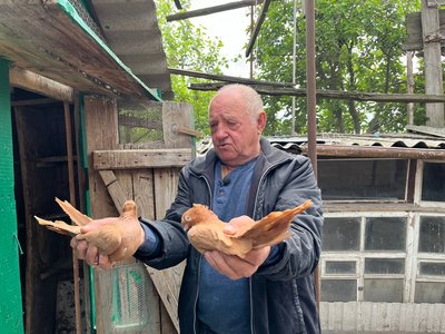 "Навіть з уроків тікав, аби впіймати голуба": черкащанин впродовж 67 років вирощує голубів "Навіть з уроків тікав, аби впіймати голуба": черкащанин впродовж 67 років вирощує голубів