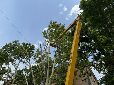 обстріли, Херсон, комунальні служби, дерева обстріли, Херсон, комунальні служби, дерева