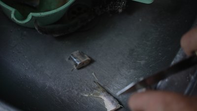 Тварини на Чернігівщині: лелека Бузька 15 років живе у подружжя з Батурина Тварини на Чернігівщині: лелека Бузька 15 років живе у подружжя з Батурина