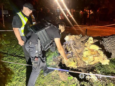У київському парку вітер повалив дерево: є загибла та травмовані У київському парку вітер повалив дерево: є загибла та травмовані