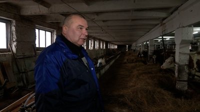 Як виживають ферми на прикордонні Чернігівщини