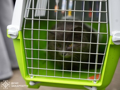 До Мукачева прибув евакуаційний потяг із Дніпропетровщини До Мукачева прибув евакуаційний потяг із Дніпропетровщини